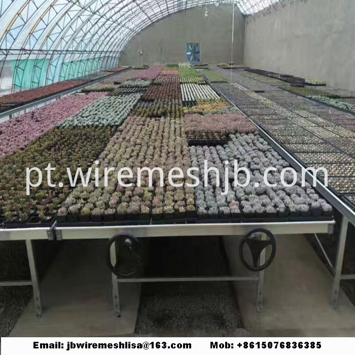 Galvanized Welded Wire Mesh Greenhouse Rolling Benches